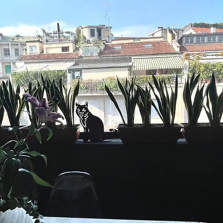 La Fontana Tra I Tetti -